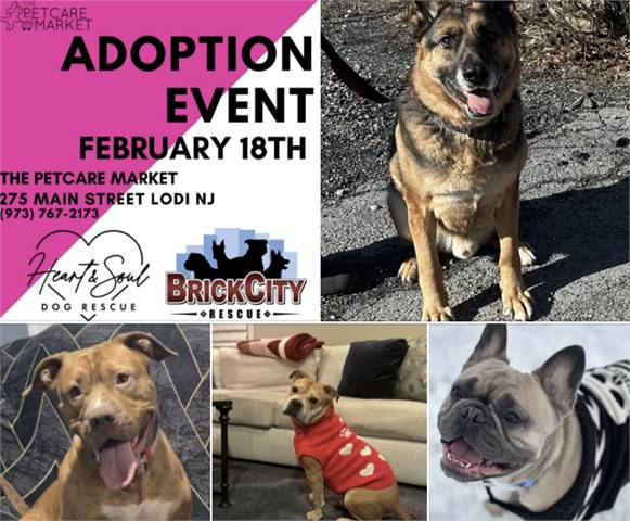 Adoption Event with Heart & Soul Dog Rescue & Brick City Rescue at Petcare Market - Lodi