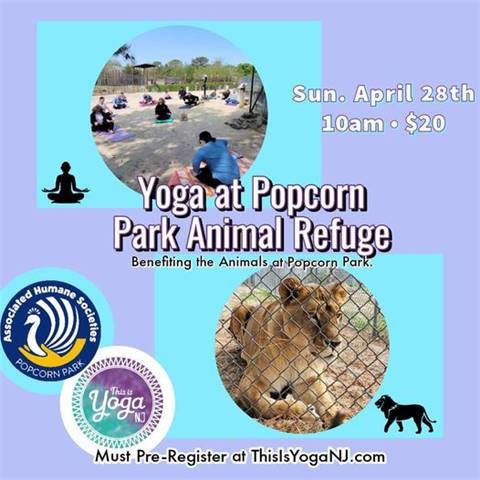 Yoga at Popcorn Park Animal Refuge to Benefit the Animals at Popcorn Park (April 2024)