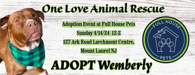 One Love Animal Rescue Pet Adoption Event at Full House Pets 