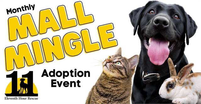 Eleventh Hour Rescue Monthly Mall Mingle Adoption Event at Rockaway Mall Adoption Center