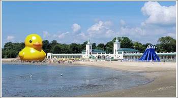 The World's Largest Rubber Duck Comes to Rye Playland