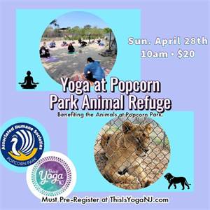 Yoga at Popcorn Park Animal Refuge to Benefit the Animals at Popcorn Park (April 2024)
