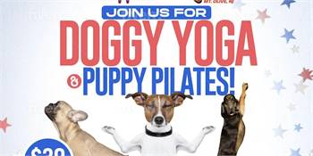 Doggy Yoga & Puppy Pilates Fundraiser for Wise Animal Rescue at Retro Fitness of Mt. Olive