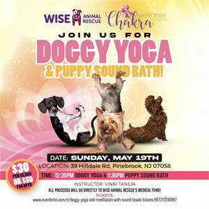 Doggy Yoga and Meditation with Sound Bowls Fundraiser for Wise Animal Rescue