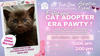 Enter Your Cat Adopter Era Pawty - All Fur One Cat Adoptions Event at All Fur One Pet Rescue