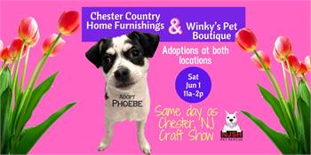 Pet Adoptions with NJSH Pet Rescue at Chester County Home Furnishings & Winky's Pet Boutique