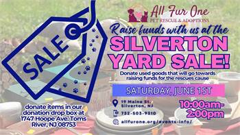 Silverton Yard Sale Fundraiser for All Fur One Pet Rescue
