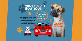 Chester Classic Car Show & Pet Adoption Day with NJSH Pet Rescue at Winky's Pet Boutique 