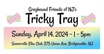 Greyhound Friends of NJ's (GFNJ) Tricky Tray  at Somerville Elks Club
