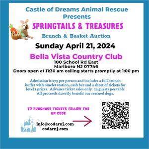 Castle of Dreams Animal Rescue Springtails & Treasures Brunch & Raffle at Bella Vista Country Club 