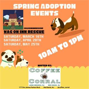 Wag on Inn Rescue Spring Pet Adoption Events at Coffee Corral
