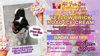 Yellow Brick Road Ice Cream - Fundraiser & Adoption Day for All Fur One Pet Rescue 