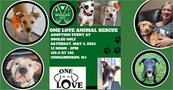 One Love Animal Rescue Dog Adoption Event at DogLeg Golf