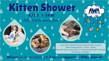 Animal Welfare Association Kitten Shower at the Animal Welfare Association Conference Room