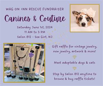 Canines & Couture with Wag on Inn Rescue at Salon 812