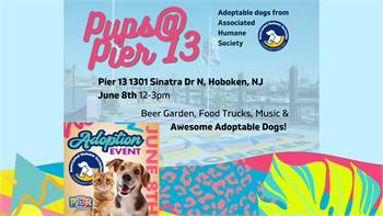 Pups @ Pier 13 Associated Humane Societies Pet Adoption Event