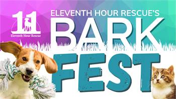 Eleventh Hour Rescue's Annual BarkFest 2024 at Turkey Brook Park 