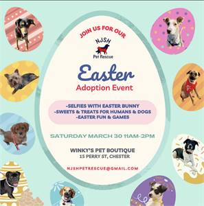 NJSH Pet Rescue Easter Bunny Adoption Event @ Winky's Pet Boutique 